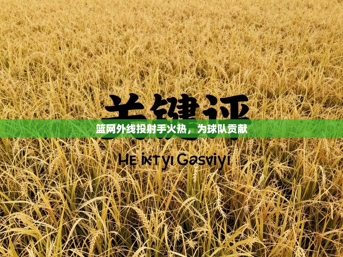 篮网外线投射手火热,为球队贡献 第2张