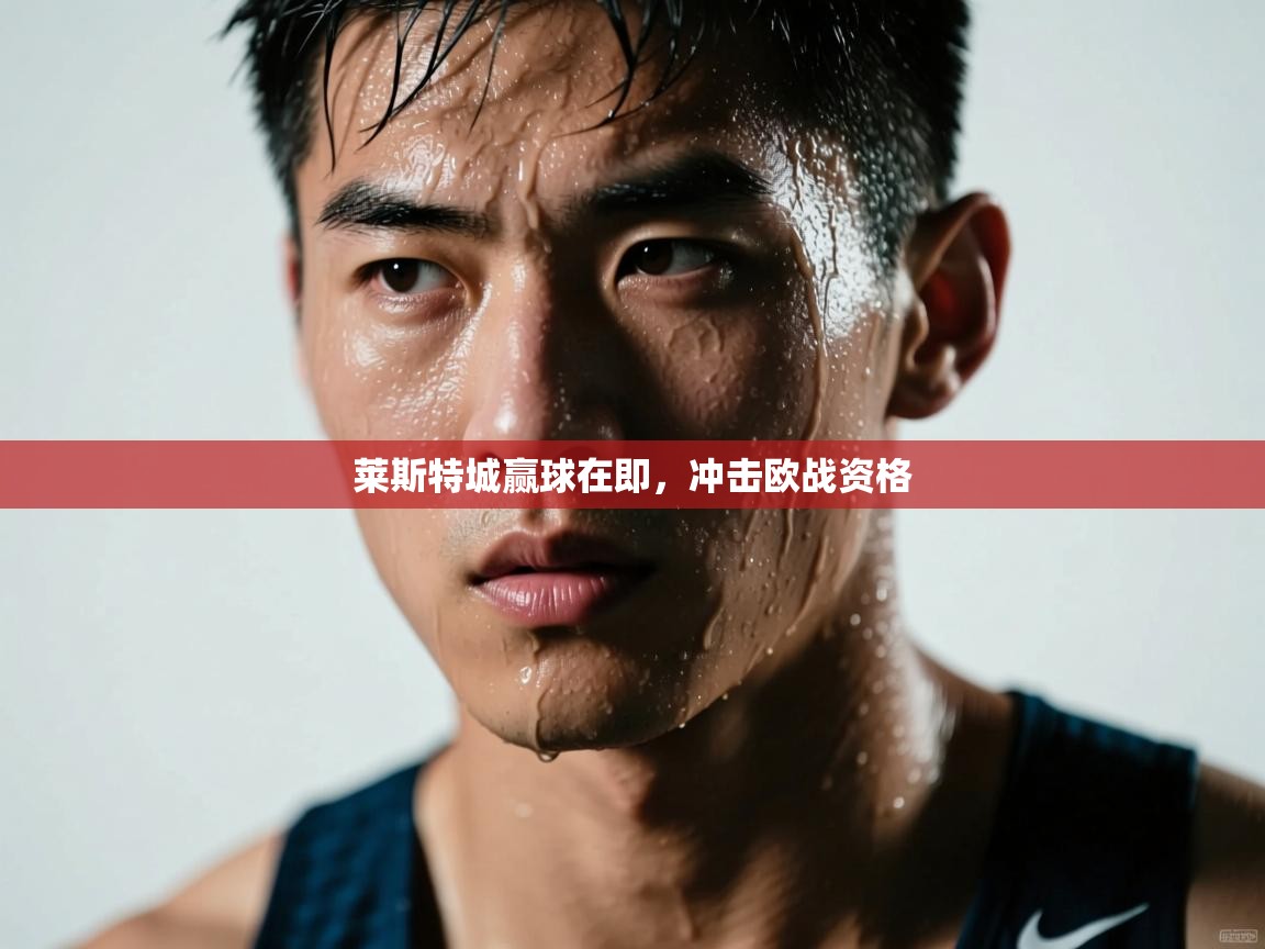 莱斯特城赢球在即，冲击欧战资格  第1张