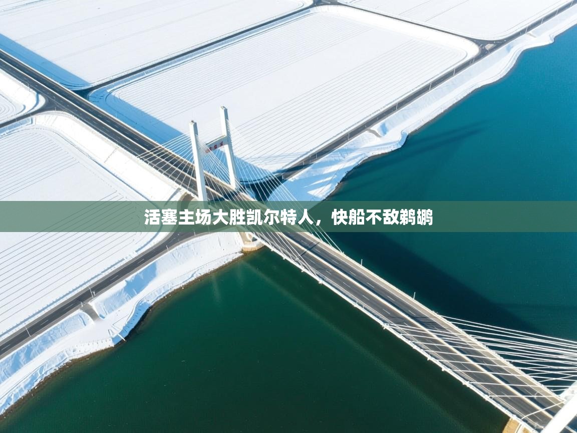 活塞主场大胜凯尔特人,快船不敌鹈鹕 第2张